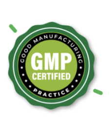 GMP LOGO